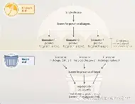 风云突变摩纳哥关键时刻造点机会，欧篮联版图或变，更衣室稳定，医务组通报恢复(墨西哥传奇前锋)-竞技宝电竞领导者